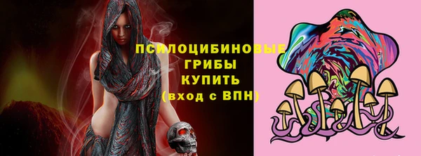 apvp Рославль