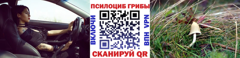 Галлюциногенные грибы Cubensis  Купить  Котовск 